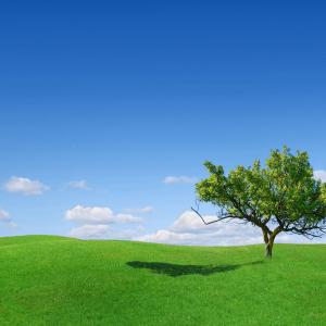 Beautiful-Wallpapers-7